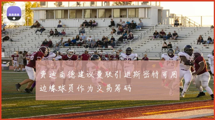 费迪南德建议曼联引进斯密特可用边缘球员作为交易筹码