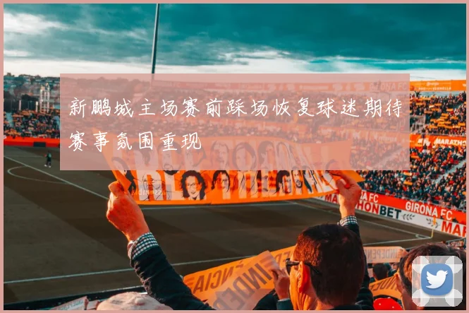 新鹏城主场赛前踩场恢复球迷期待赛事氛围重现