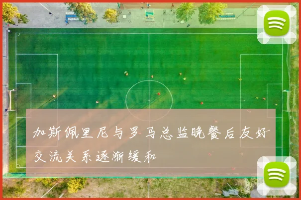 加斯佩里尼与罗马总监晚餐后友好交流关系逐渐缓和